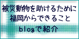 被災動物を助けるために福岡からできること